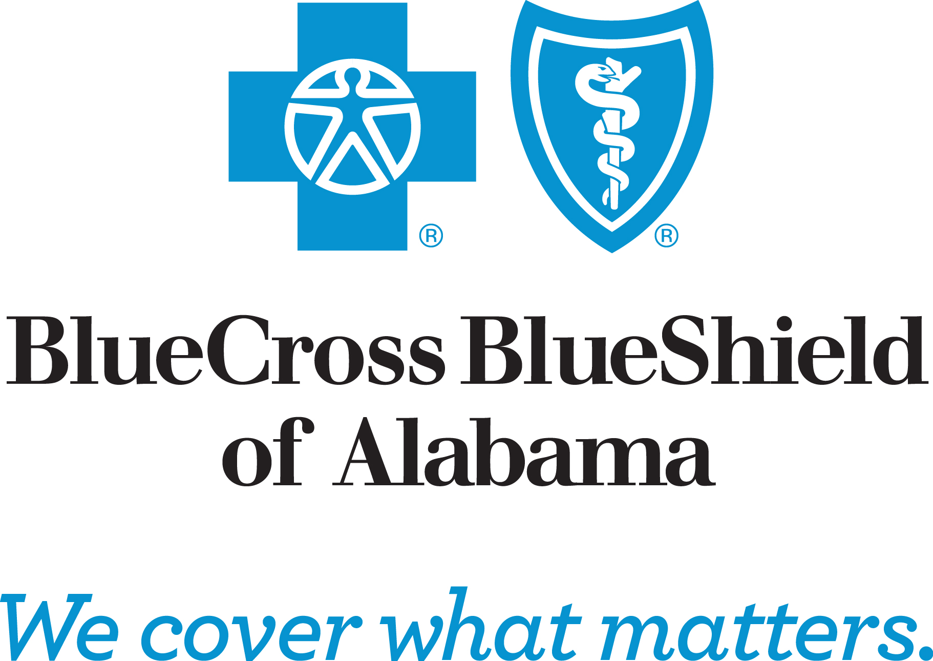 Blue Cross Blue Shield The Caring Foundation
