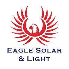 Eagle Solar and Light Fry Team